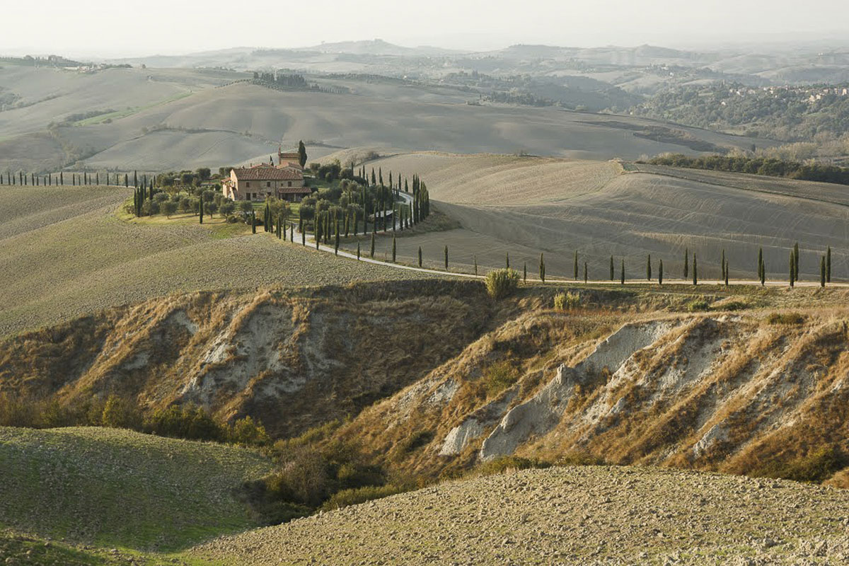 Il paesaggio tra Asciano e Scrofiano