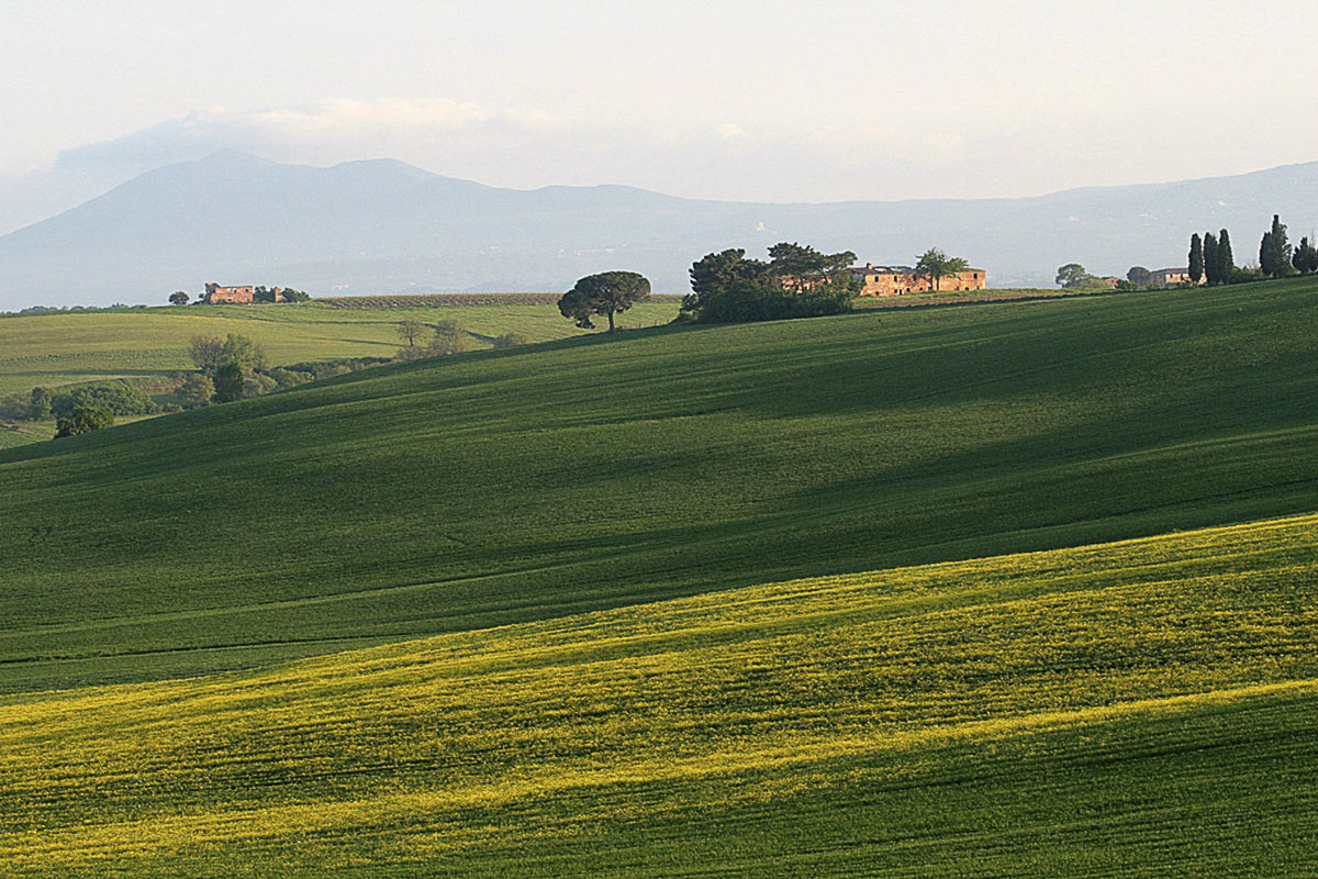 Il paesaggio tra Sinalunga e Valiano