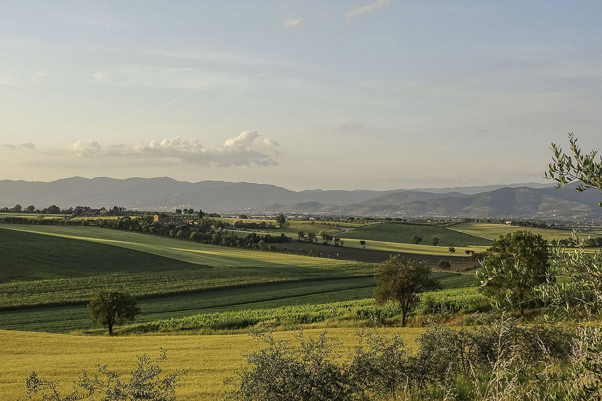 Il paesaggio tra Valiano e Ossaia
