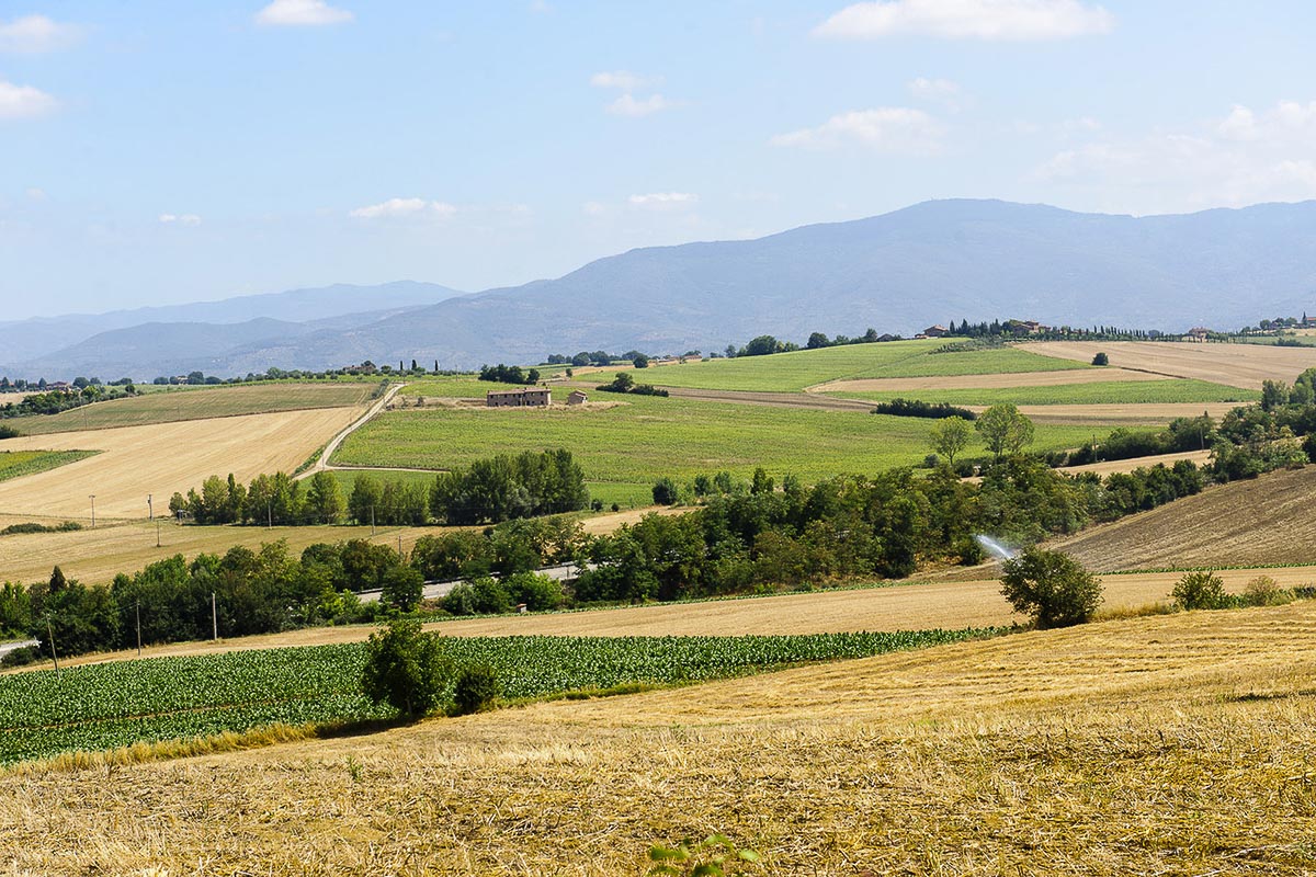 Siena - Cortona in 7 Giorni